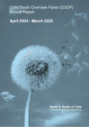 CDOP ANNUAL REPORT 2024-2025