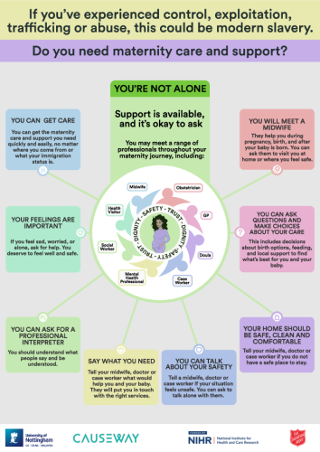 Infographic Survivor Mothers