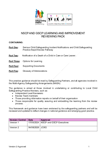 132 NSCP AND GSCP LEARNING AND IMPROVEMENT PATHWAY 2026 – Final Version